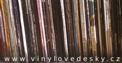 vinylové desky.cz, vinylove-desky.cz, nápis e-shopu na obalech desek