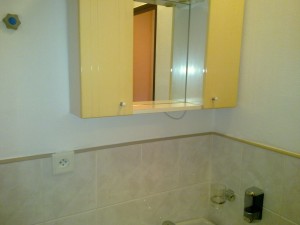 Byt, nájem, Praha, WC - toaletní skřínka