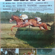 Dostihy-Bratislava-1984-říjen-Cena Rožňavy steeplechase 3600 m, Cena ČS.Televizie 4000 m, Petržalka, Starý Háj-koně,závody- 58cm x 84cm