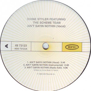 Divine Styler Feat. The Scheme-Ain´t Saying Nothing, Vinyl.